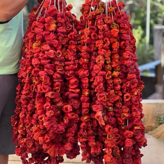 Antep Dolmalık Acı Bİber Kuruluğu (47-50) Adet