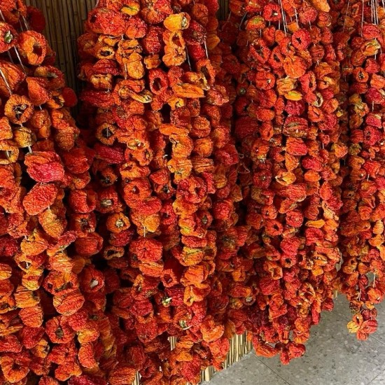 Antep Dolmalık Acı Bİber Kuruluğu (47-50) Adet