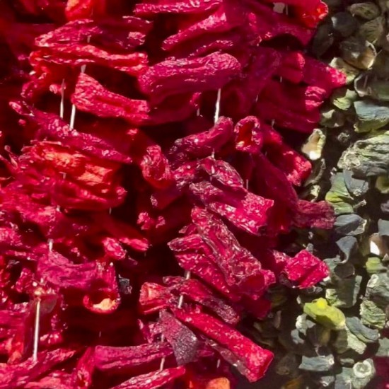 Antep Dolmalık Kapya Biber Kuruluğu (47-50) Adet